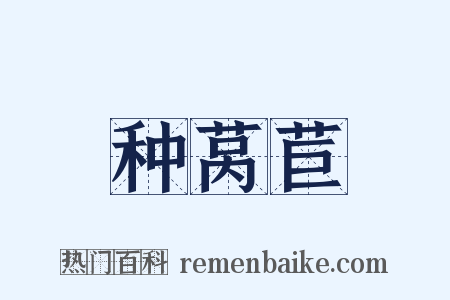 种莴苣是什么意思的图片